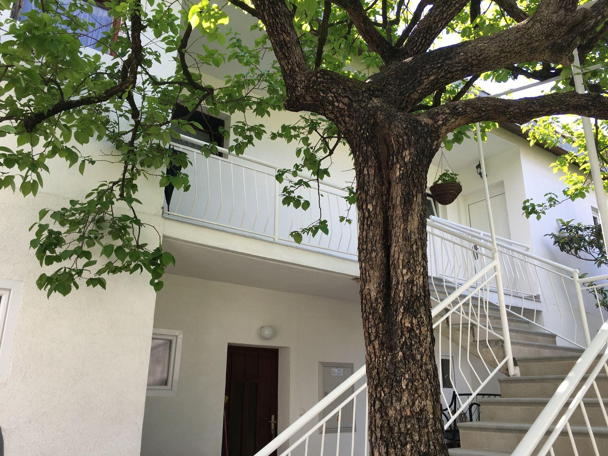 Apartments הרצג-נובי מראה חיצוני תמונה